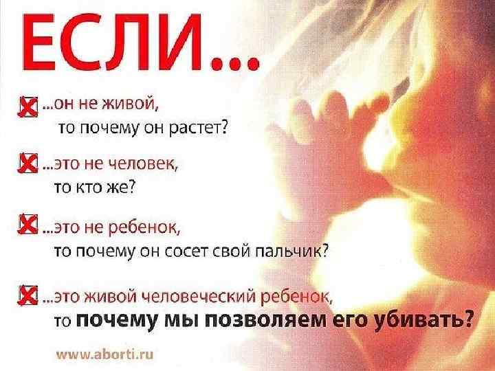 Каждый аборт - еще одно остановленное сердце. Еще одна пара глаз, которые никогда не