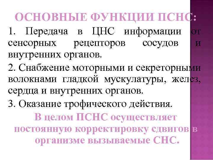 ОСНОВНЫЕ ФУНКЦИИ ПСНС: 1. Передача в ЦНС информации от сенсорных рецепторов сосудов и внутренних