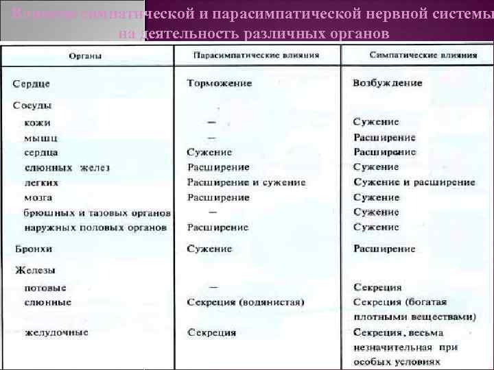 Уменьшает вентиляцию легких симпатическая или парасимпатическая