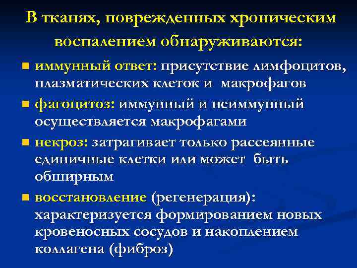 В тканях, поврежденных хроническим воспалением обнаруживаются: иммунный ответ: присутствие лимфоцитов, плазматических клеток и макрофагов