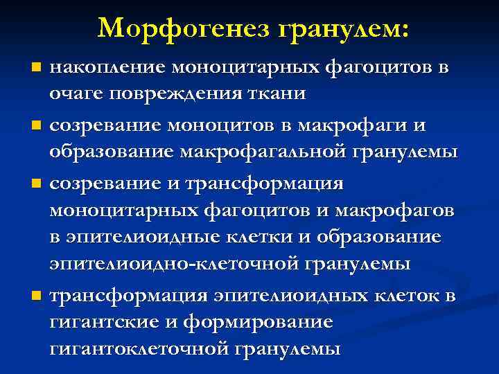 Морфогенез гранулем: накопление моноцитарных фагоцитов в очаге повреждения ткани n созревание моноцитов в макрофаги