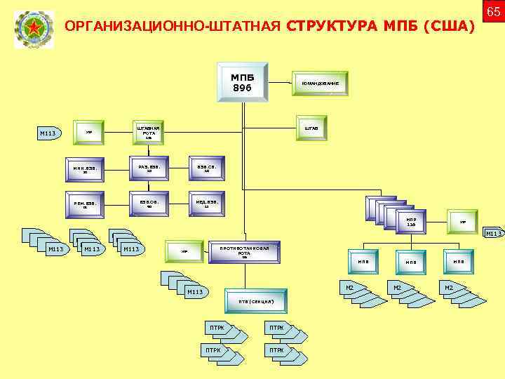 Организационно штатная структура в виде схемы