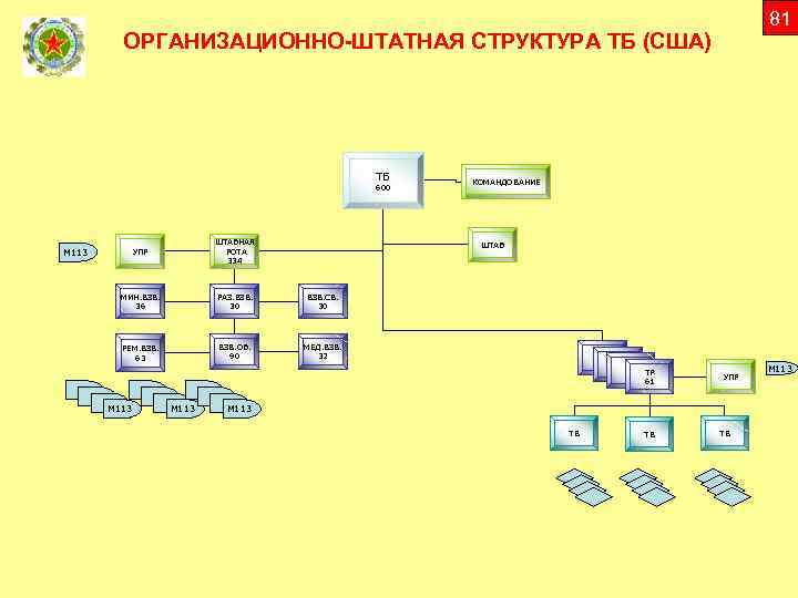 Организационно штатная структура