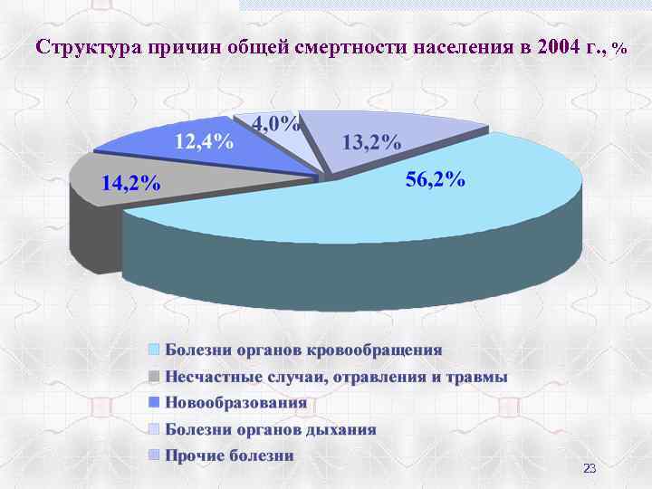 Структура причин общей смертности населения в 2004 г. , % 23 