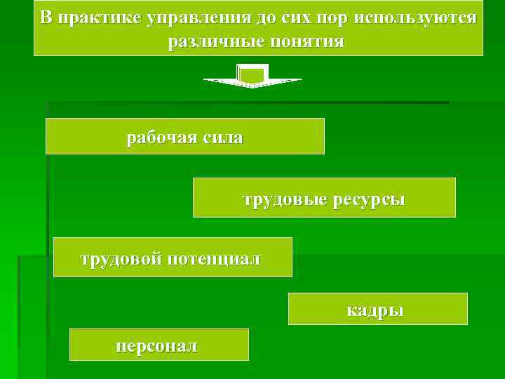 В практике управления до сих пор используются различные понятия рабочая сила трудовые ресурсы трудовой