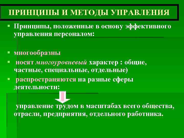 ПРИНЦИПЫ И МЕТОДЫ УПРАВЛЕНИЯ § Принципы, положенные в основу эффективного управления персоналом: § §