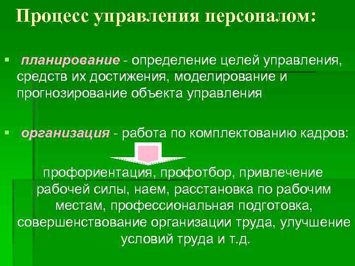 Процесс управления персоналом: § планирование - определение целей управления, средств их достижения, моделирование и