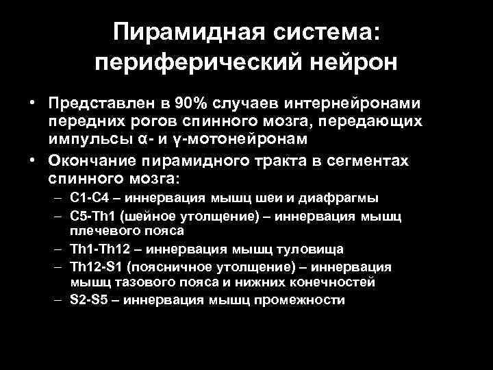 Пирамидная система: периферический нейрон • Представлен в 90% случаев интернейронами передних рогов спинного мозга,