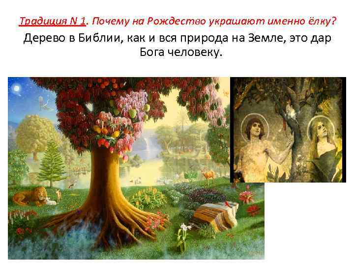 Традиция N 1. Почему на Рождество украшают именно ёлку? Дерево в Библии, как и
