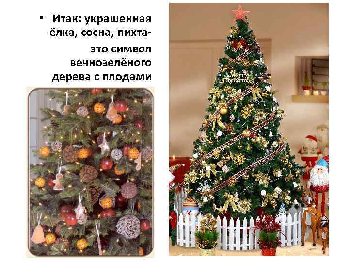  • Итак: украшенная ёлка, сосна, пихтаэто символ вечнозелёного дерева с плодами 