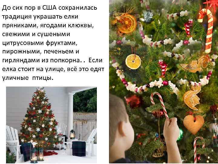 До сих пор в США сохранилась традиция украшать елки пряниками, ягодами клюквы, свежими и