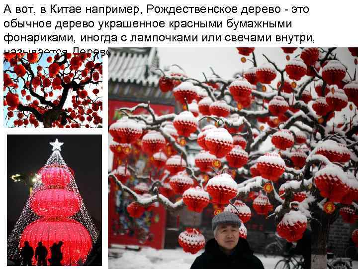 А вот, в Китае например, Рождественское дерево - это обычное дерево украшенное красными бумажными
