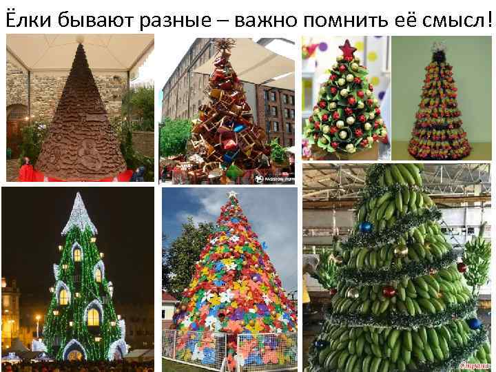 Ёлки бывают разные – важно помнить её смысл! 