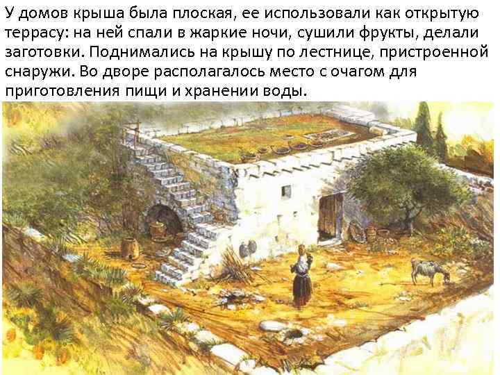 У домов крыша была плоская, ее использовали как открытую террасу: на ней спали в
