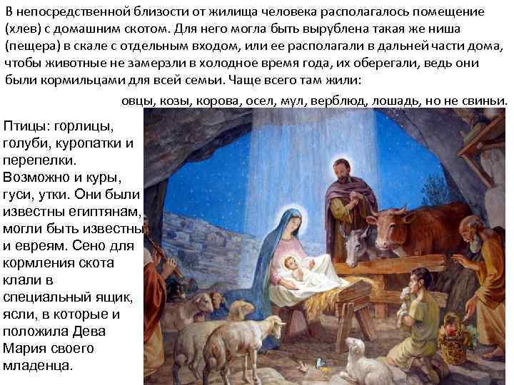 В непосредственной близости от жилища человека располагалось помещение (хлев) с домашним скотом. Для него