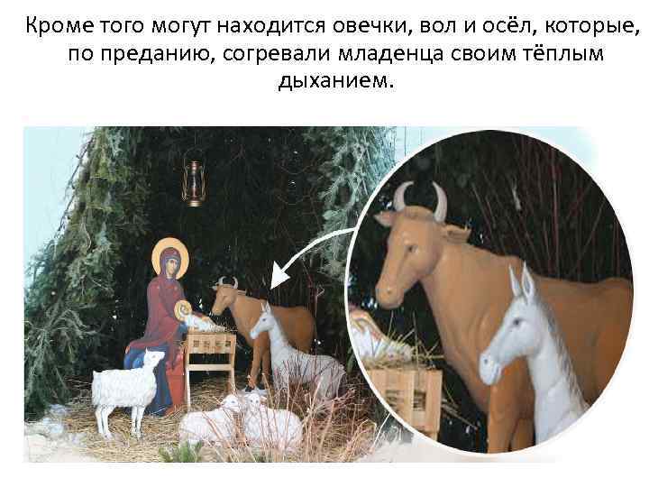 Кроме того могут находится овечки, вол и осёл, которые, по преданию, согревали младенца своим