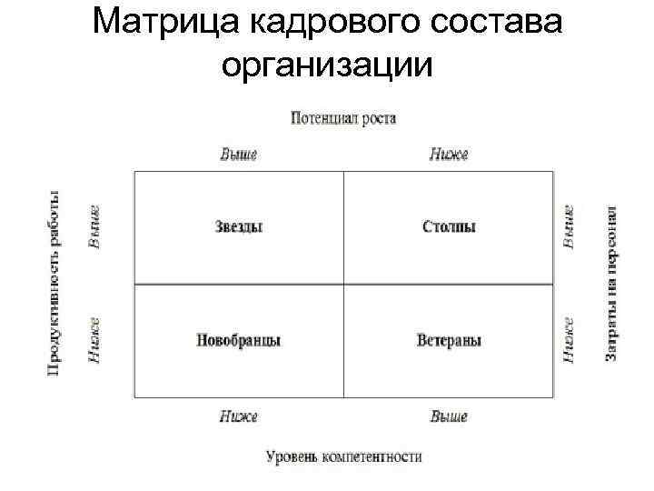 Матрица кадрового состава организации 