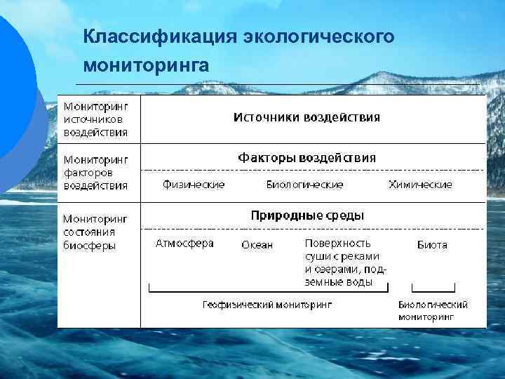 Классификация экологического мониторинга 