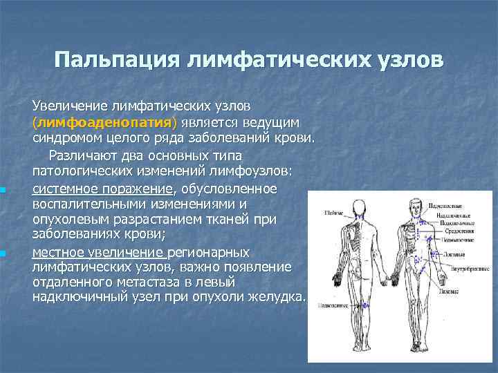 n n Пальпация лимфатических узлов Увеличение лимфатических узлов (лимфоаденопатия) является ведущим синдромом целого ряда