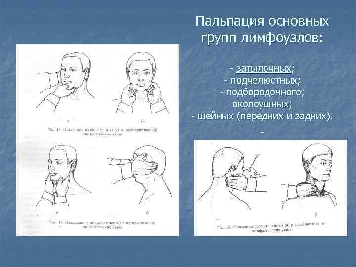 Лимфоузлы на затылке схема. Схема пальпации лимфатических узлов. Пальпация подчелюстных лимфоузлов алгоритм. Пальпация затылочных околоушных и подчелюстных лимфатических узлов.