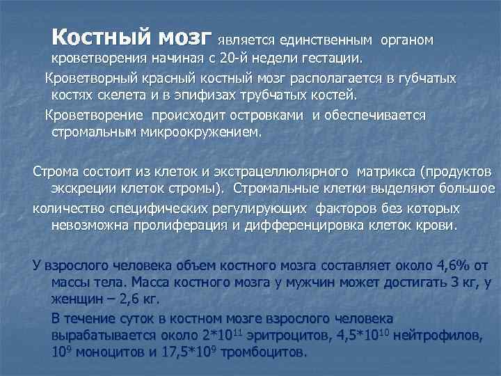 Костный мозг является единственным органом кроветворения начиная с 20 -й недели гестации. Кроветворный красный