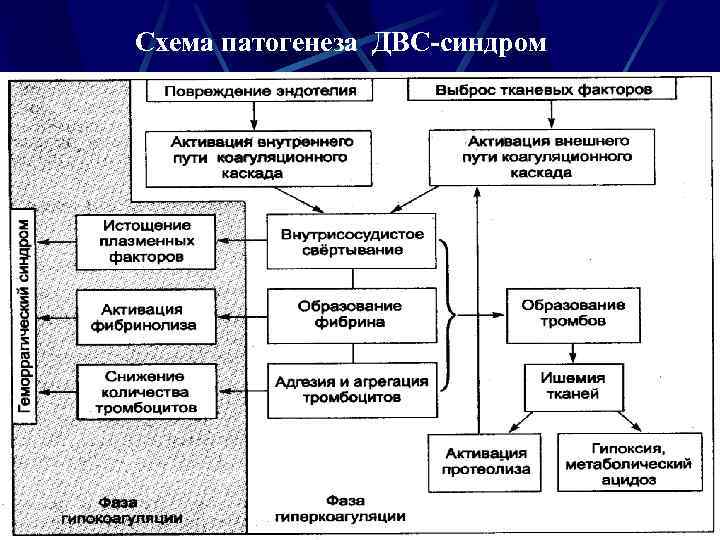 Схема патогенеза ДВС-синдром 