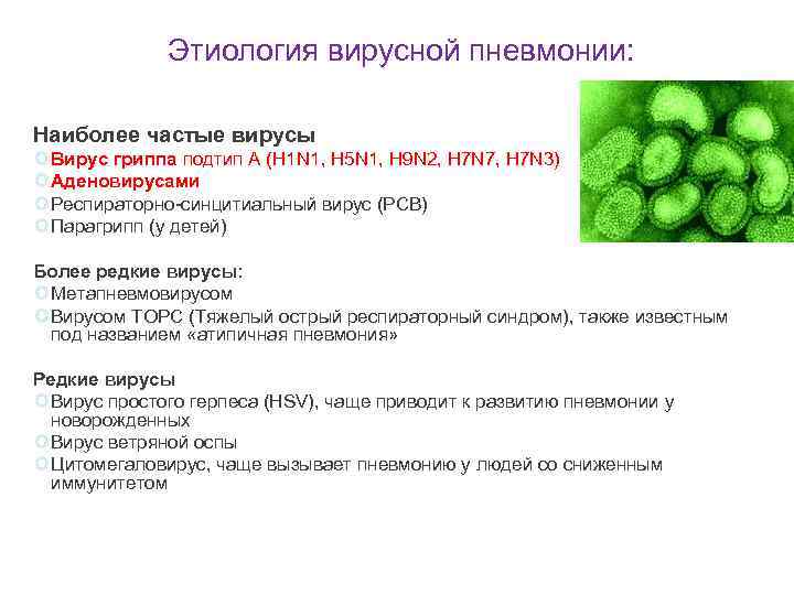 Этиология вирусной пневмонии: Наиболее частые вирусы Вирус гриппа подтип A (Н 1 N 1,