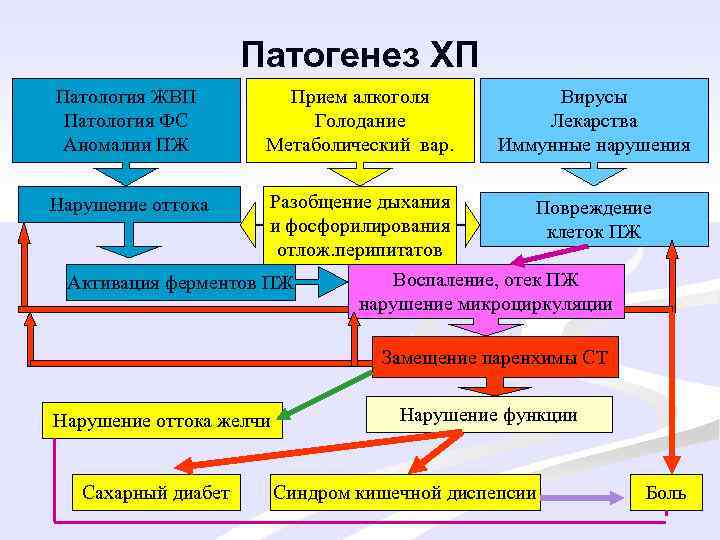Патогенез ХП Патология ЖВП Патология ФС Аномалии ПЖ Прием алкоголя Голодание Метаболический вар. Вирусы