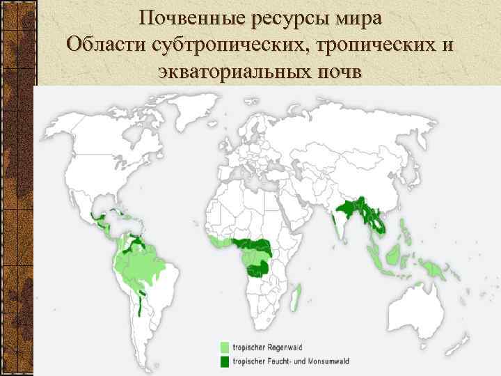 Почвенные ресурсы мира Области субтропических, тропических и экваториальных почв 