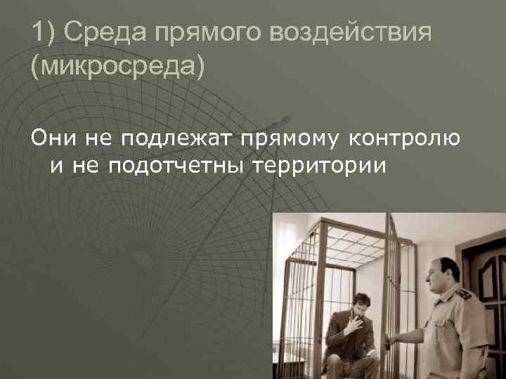 1) Среда прямого воздействия (микросреда) Они не подлежат прямому контролю и не подотчетны территории