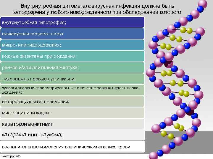 Внутриутробная цитомегаловирусная инфекция должна быть заподозрена у любого новорожденного при обследовании которого выявляются следующие