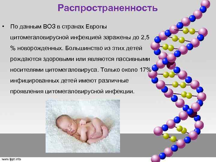 Распространенность • По данным ВОЗ в странах Европы цитомегаловирусной инфекцией заражены до 2, 5
