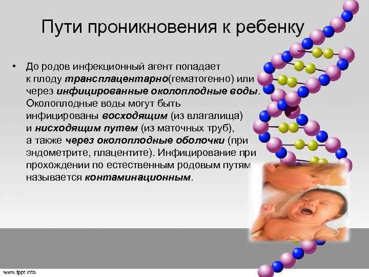 Пути проникновения к ребенку • До родов инфекционный агент попадает к плоду трансплацентарно(гематогенно) или