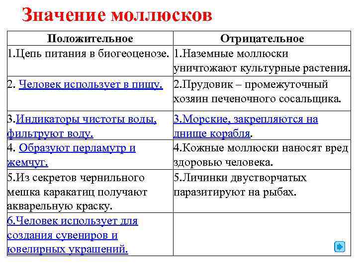 Значение моллюсков Положительное Отрицательное 1. Цепь питания в биогеоценозе. 1. Наземные моллюски уничтожают культурные