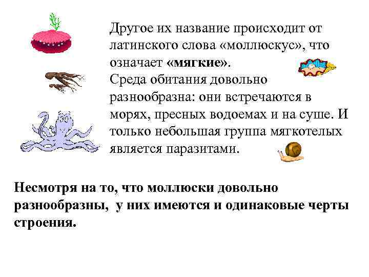 Другое их название происходит от латинского слова «моллюскус» , что означает «мягкие» . Среда