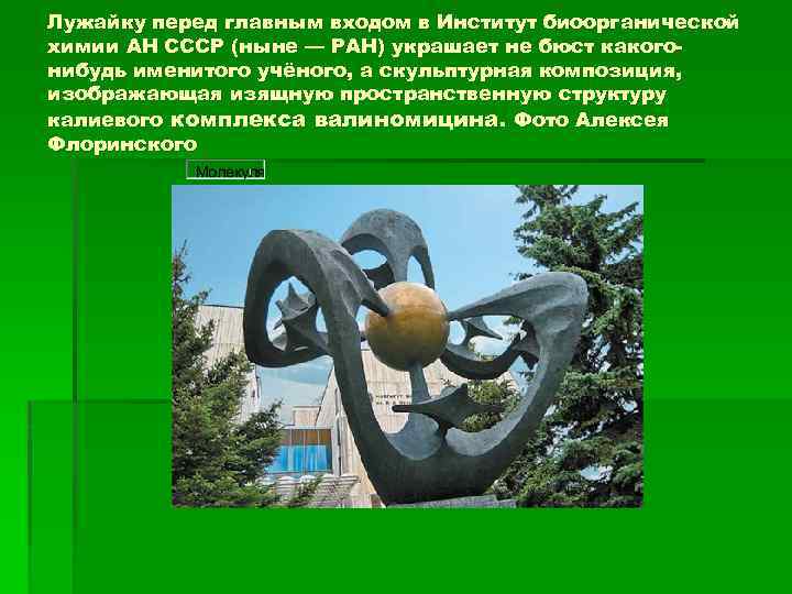 Лужайку перед главным входом в Институт биоорганической химии АН СССР (ныне — РАН) украшает
