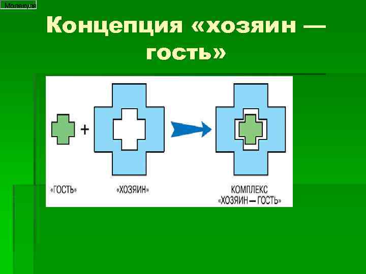 Концепция «хозяин — гость» 