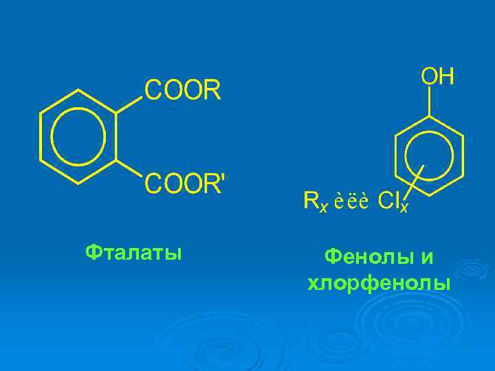 Фталаты Фенолы и хлорфенолы 