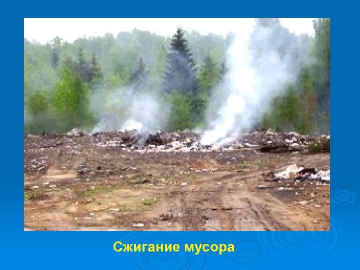 Сжигание мусора 