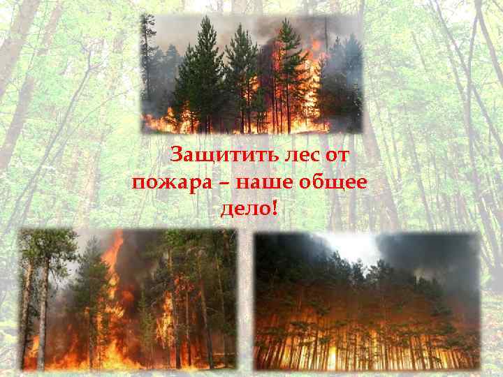 Защитить лес от пожара – наше общее дело! 