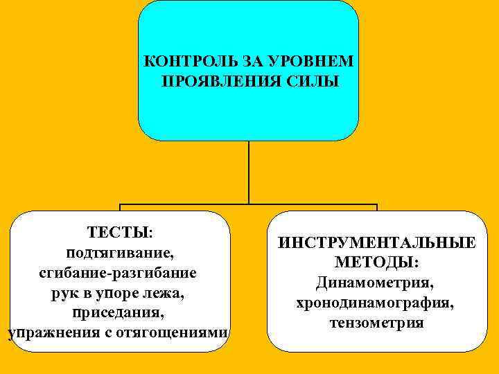 КОНТРОЛЬ ЗА УРОВНЕМ ПРОЯВЛЕНИЯ СИЛЫ ТЕСТЫ: подтягивание, сгибание-разгибание рук в упоре лежа, приседания, упражнения