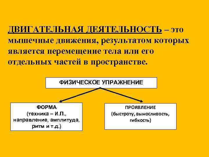 ДВИГАТЕЛЬНАЯ ДЕЯТЕЛЬНОСТЬ – это мышечные движения, результатом которых является перемещение тела или его отдельных