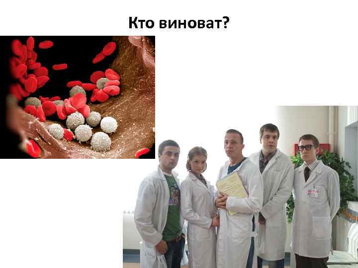 Кто виноват? 