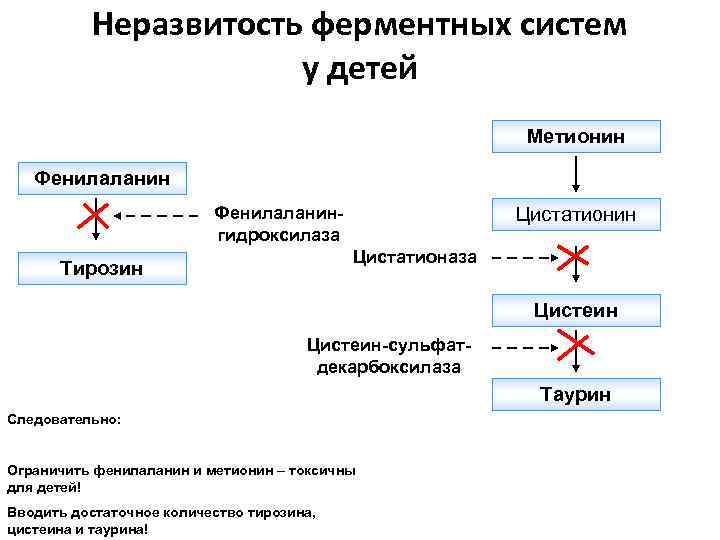 Неразвитость ферментных систем у детей Метионин Фенилаланингидроксилаза Цистатионин Цистатионаза Тирозин Цистеин-сульфатдекарбоксилаза Таурин Следовательно: Ограничить