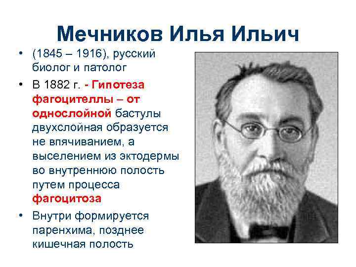 Мечников Илья Ильич • (1845 – 1916), русский биолог и патолог • В 1882