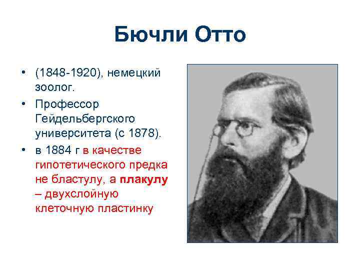 Бючли Отто • (1848 -1920), немецкий зоолог. • Профессор Гейдельбергского университета (с 1878). •