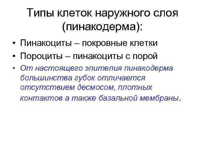 Типы клеток наружного слоя (пинакодерма): • Пинакоциты – покровные клетки • Пороциты – пинакоциты