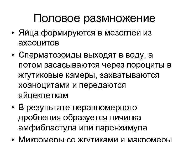 Половое размножение • Яйца формируются в мезоглеи из ахеоцитов • Сперматозоиды выходят в воду,