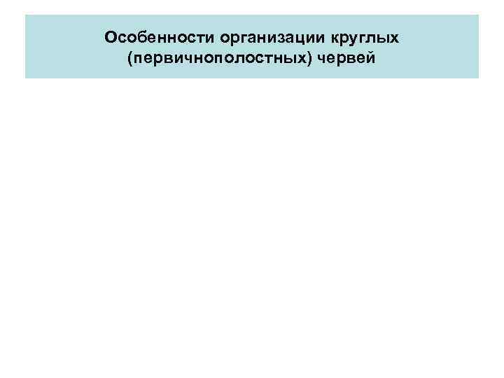 Особенности оpганизации круглых (пеpвичнополостных) чеpвей 