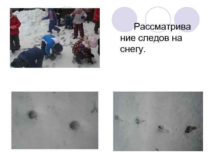  Рассматрива ние следов на снегу. 